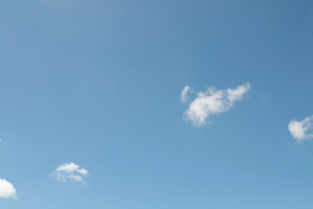 NIKON AF-S NIKKOR 24-85mm ED レンズ