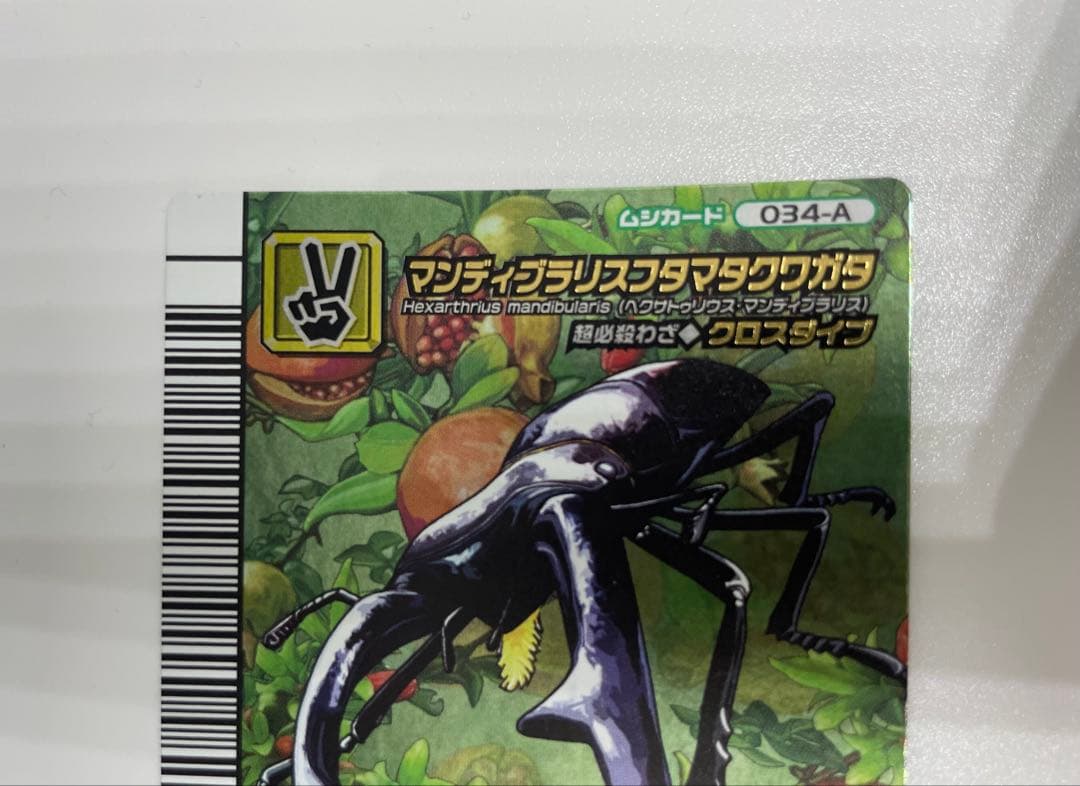 ムシキング　五周年　マンティスフタマタクワガタ