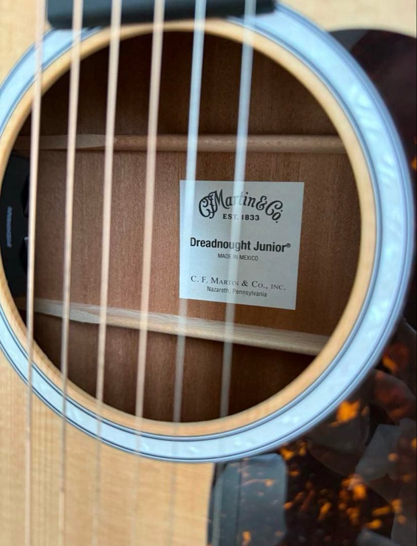 g*o様 DJR-10E-02 エレアコ