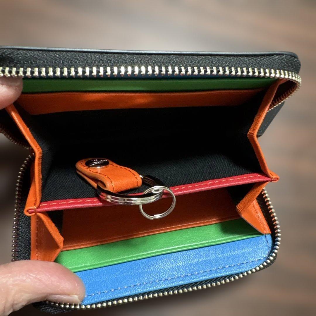 【新品】Vivienne Westwood カラフルケース