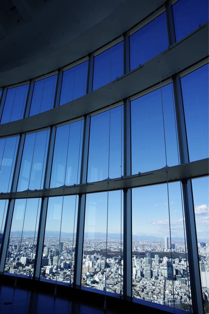 レンズ(単焦点) Carl Zeiss Distagon T* 2.8/25 ZK