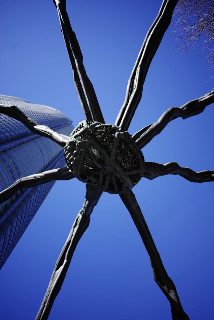 レンズ(単焦点) Carl Zeiss Distagon T* 2.8/25 ZK