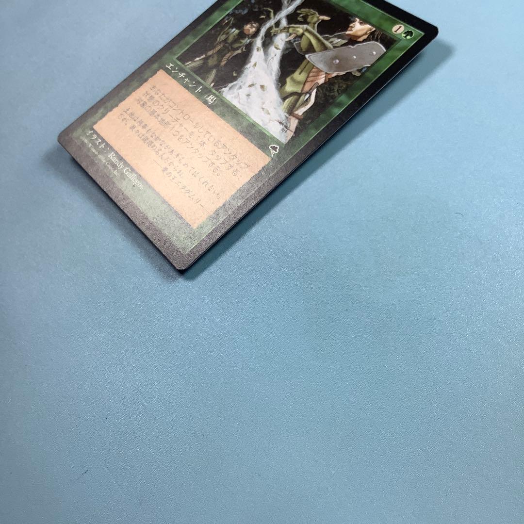 大地の知識/Earthcraft TMP日本語