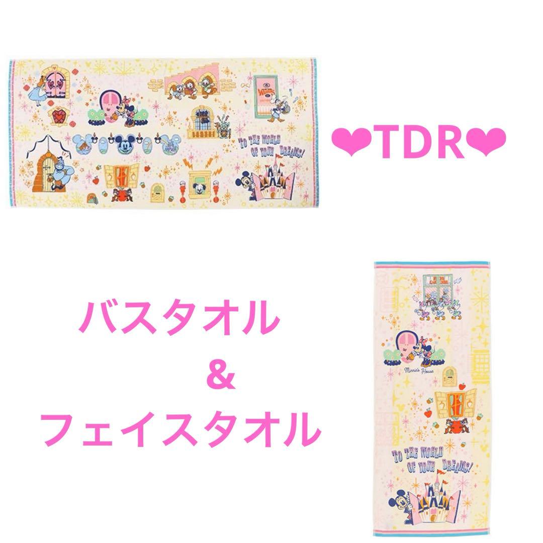 【購入前コメント必須】ディズニーリゾート☆パークドアデザイン