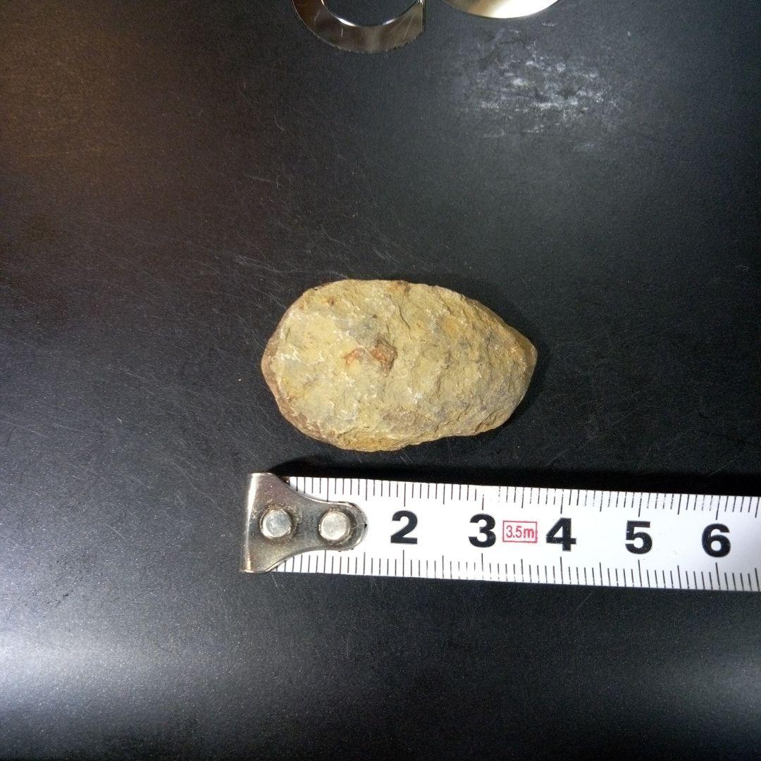 三葉虫　化石　fossil　ボリビア産　トライロバイト　Fossil番号⑦