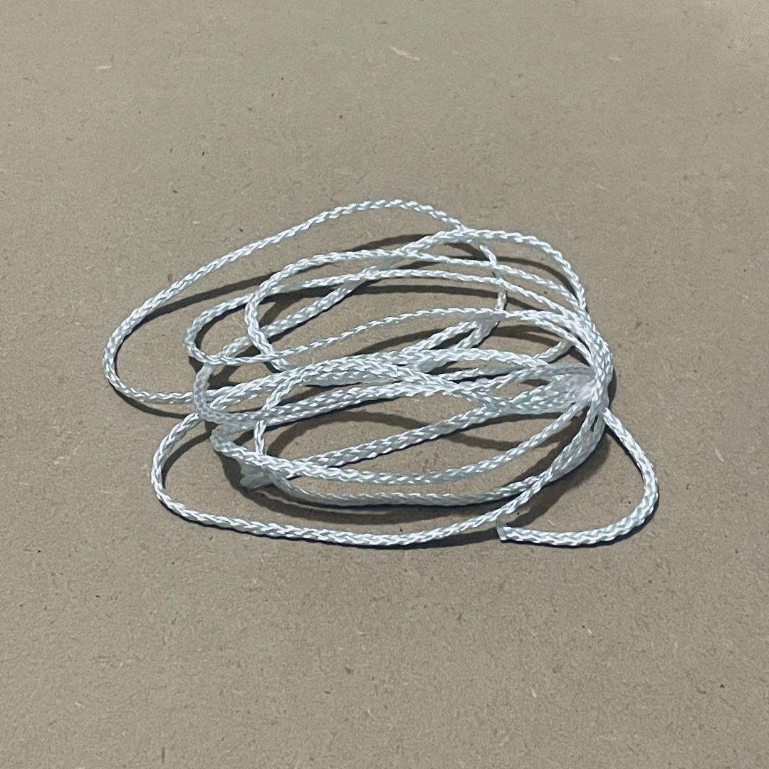 スウェーデン限定 アニカ・エリザベート・フォン・ハウスヴォルフ 額装付きポスター