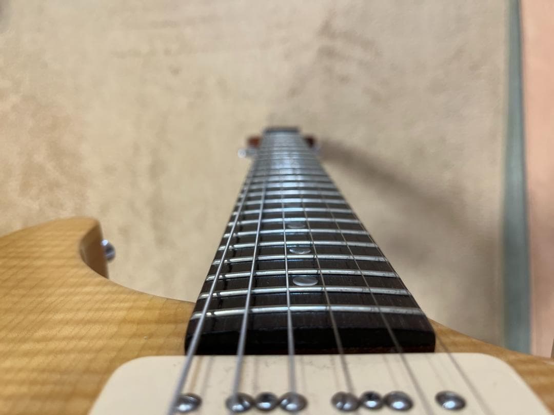 【希少】PRS SE Cnstom 22 セミホロウ　P-90タイプ