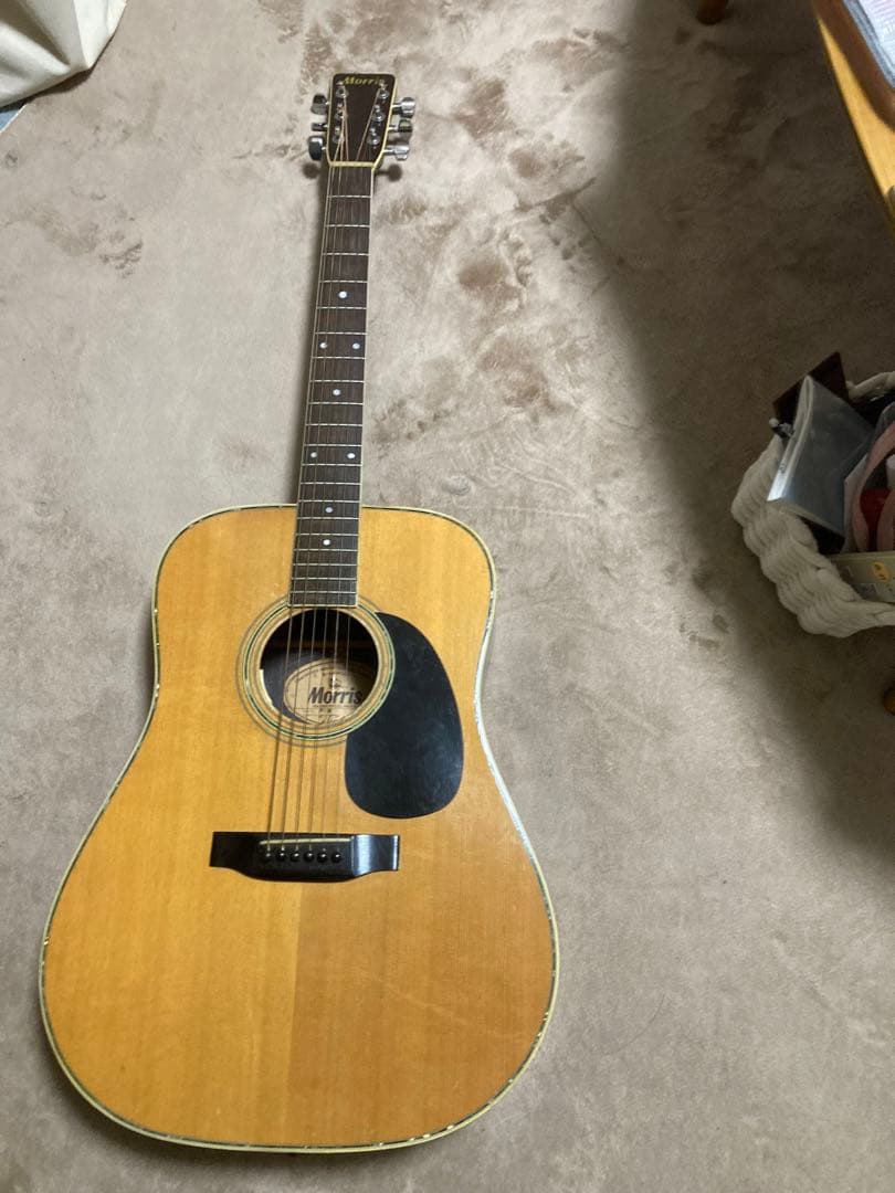 L.R Baggs Anthem SL？搭載!　Morris W-28