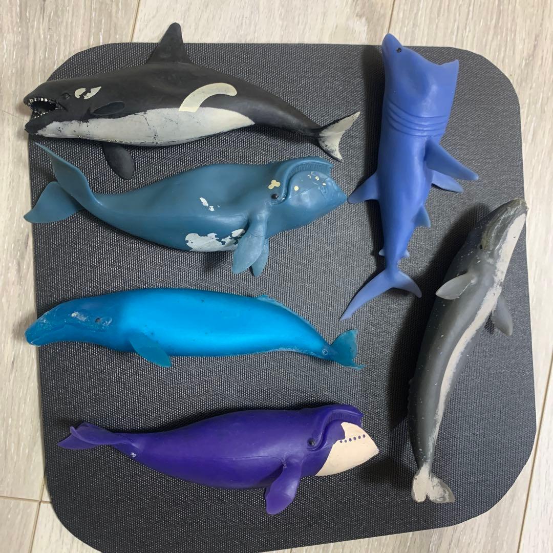 くじら　&co 16点　ブックレット デアゴスティーニ　アンドコ　コンプリート