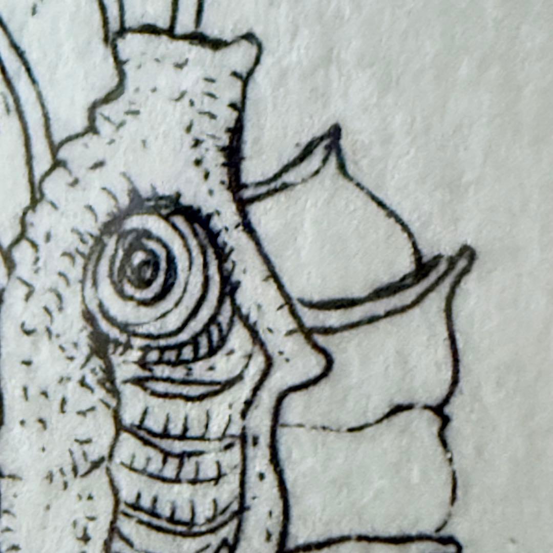 2220様感謝‼️希少‼️能島芳史ウエディング記念作「ツリーマン」銅版画エッチング