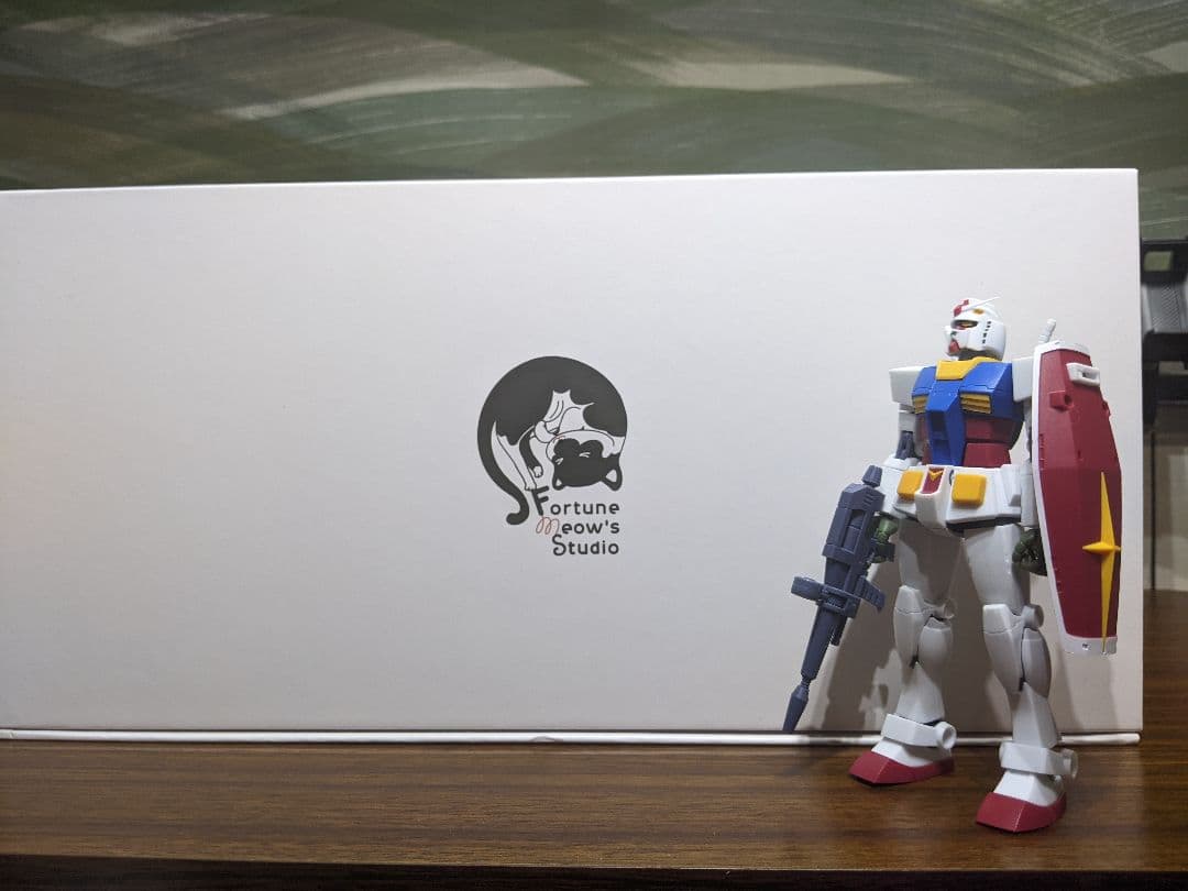 Fortune Meow’s Studio 1/100 MG RX-93 V