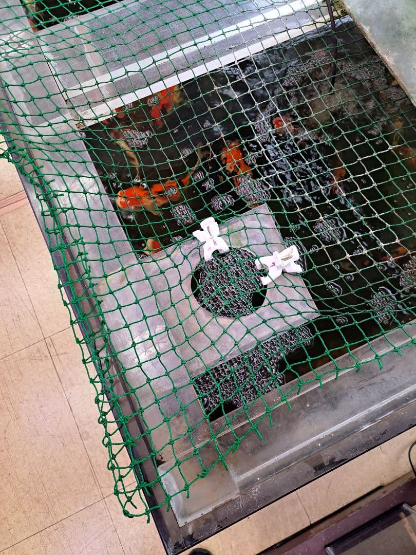 引取限定　大型中古アクリル水槽