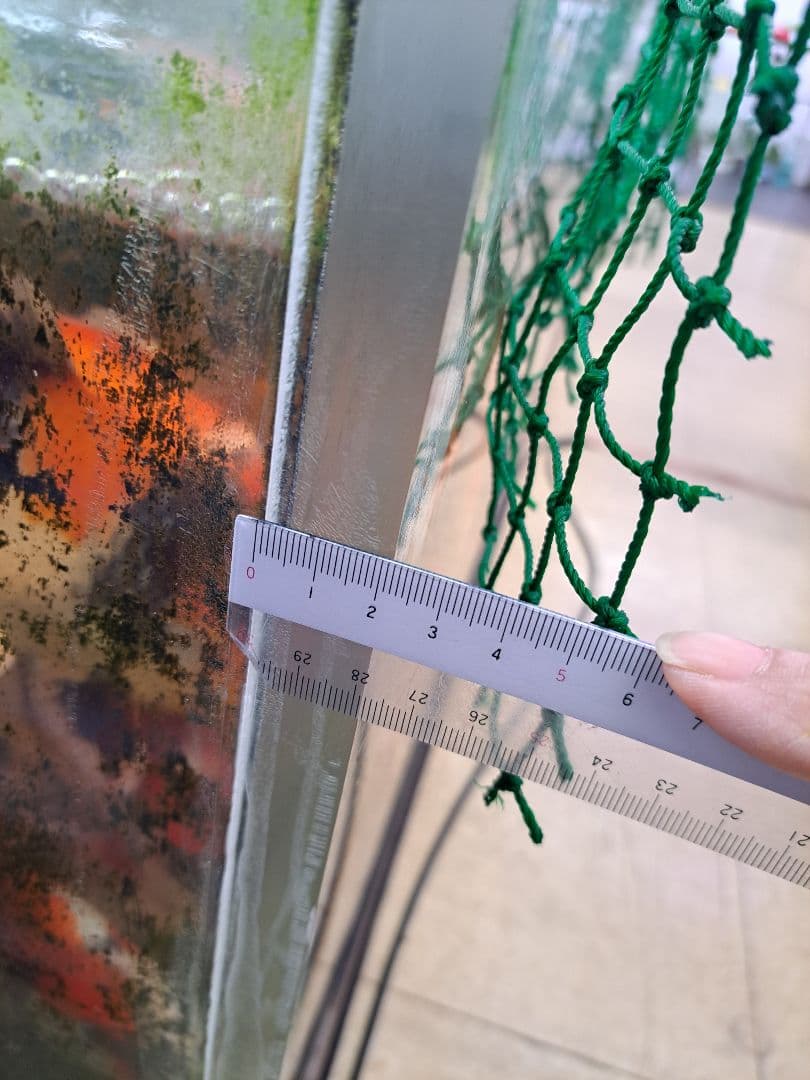 引取限定　大型中古アクリル水槽