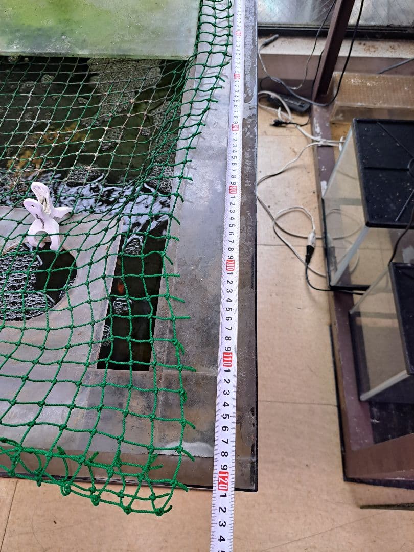 引取限定　大型中古アクリル水槽