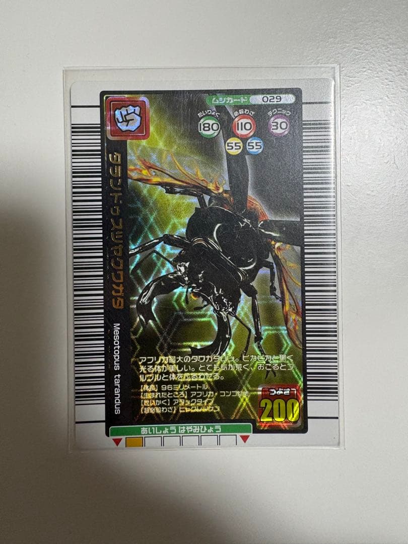 タランドゥスツヤクワガタ　2005 夏限定デザインカード ムシキング