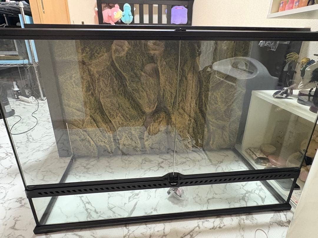 引き取りのみグラステラリウム9060