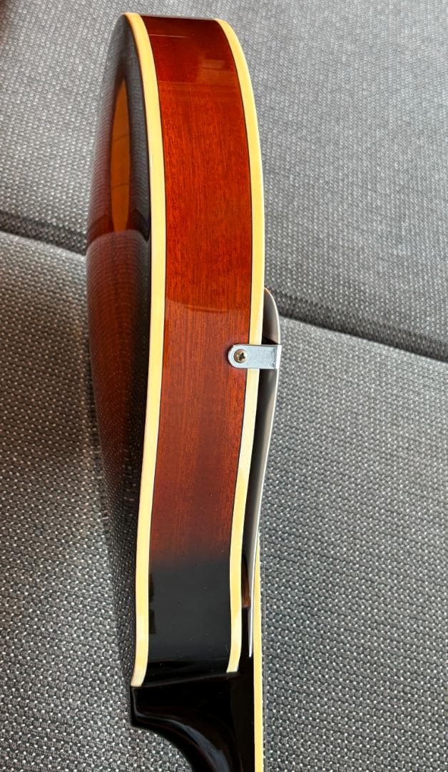 【美品と思います】Aria AM-20 マンドリン　ハードケース付き　送料無料