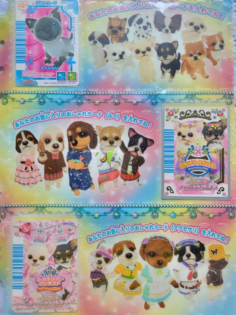 ワンタメカード約450枚(ゴールデンパピー２枚含)コンプリパピブックに入れて
