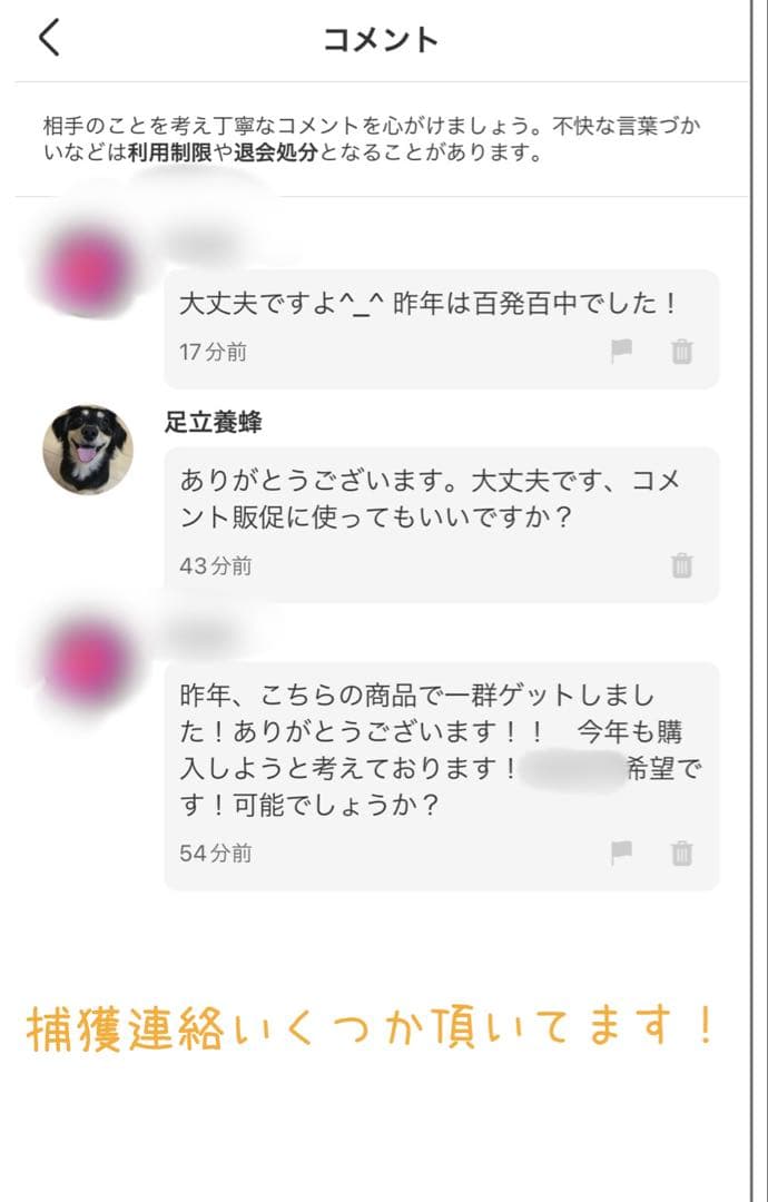 ミツバチ誘引剤 5つセット ミツバチ誘引ルアー ニホンミツバチの誘引に