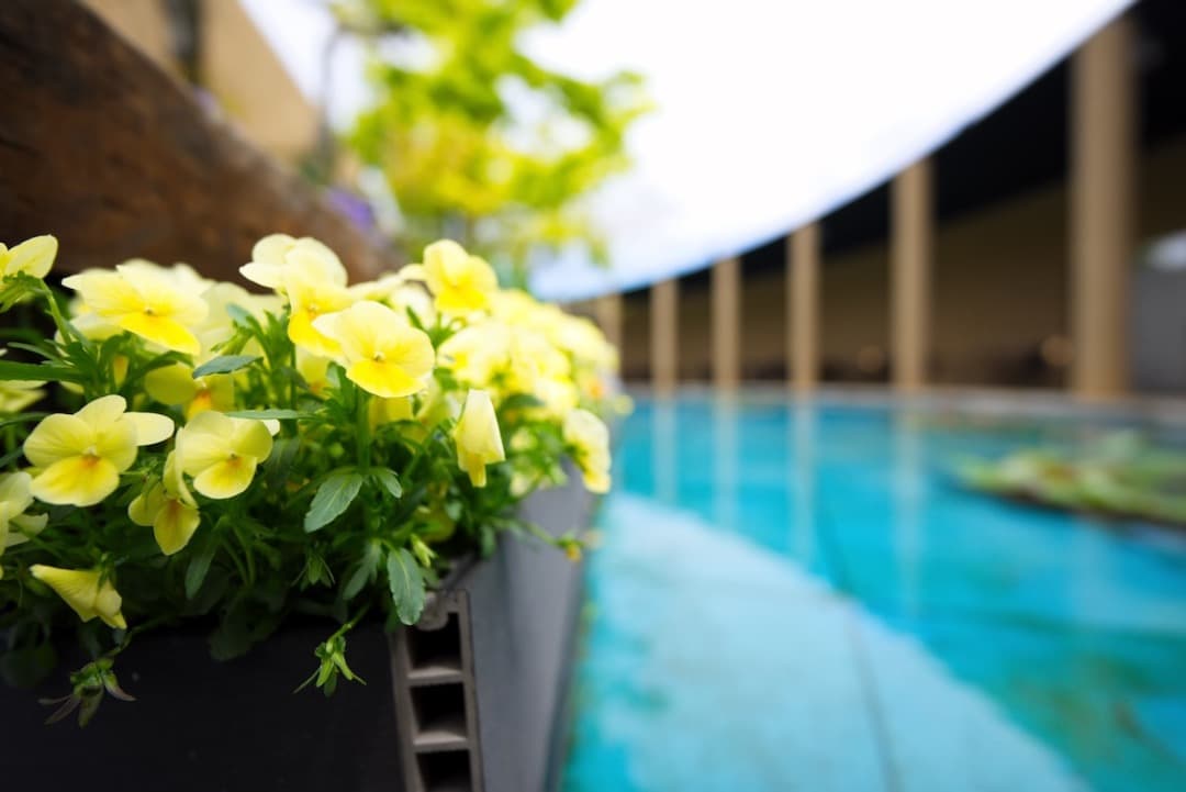 【極上美品】Sony 14mm F1.8 GM 超広角 SEL14F18GM