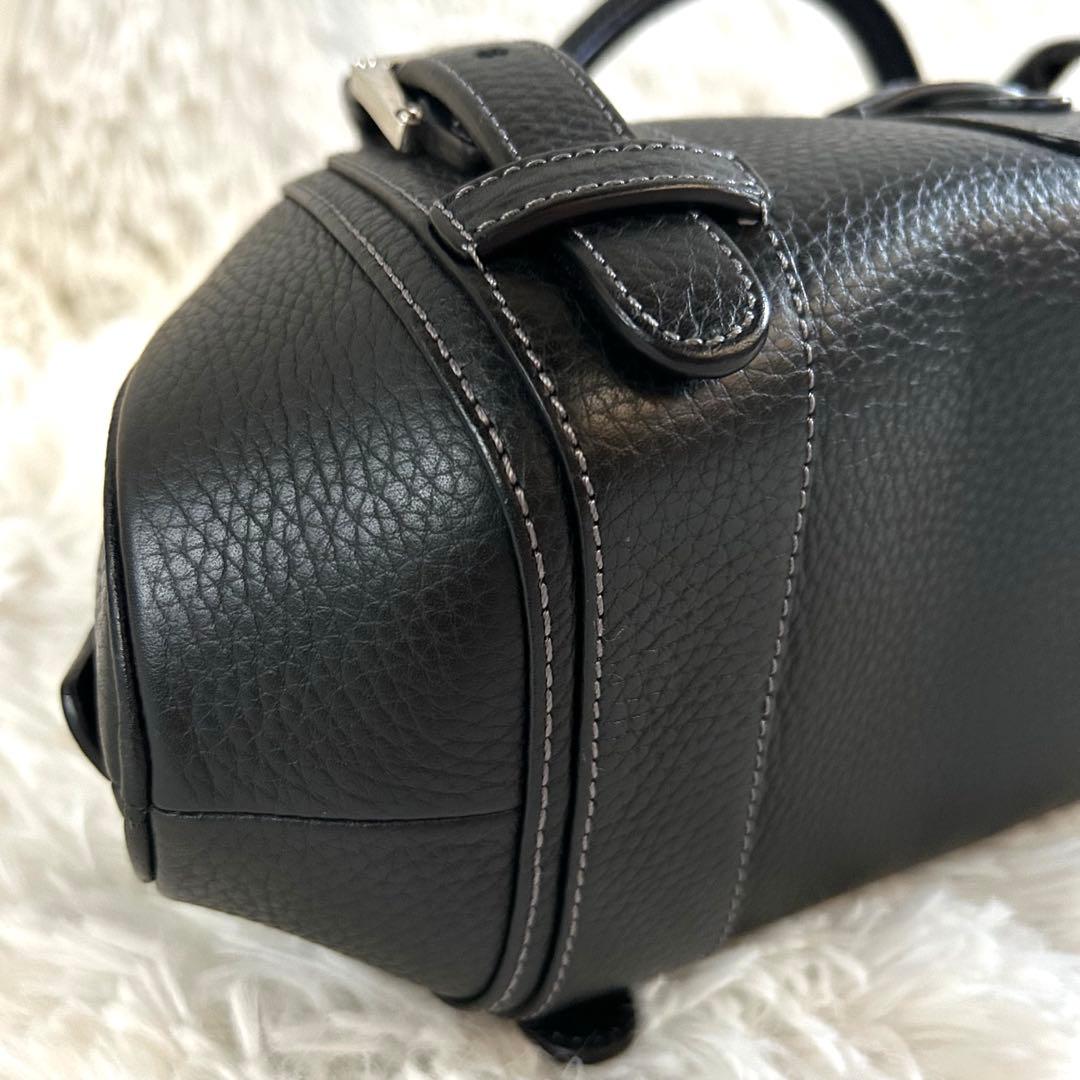 レア＊未使用級✨ロエベ ハンドバッグ センダ シボ革 レザー 肩掛け可 黒