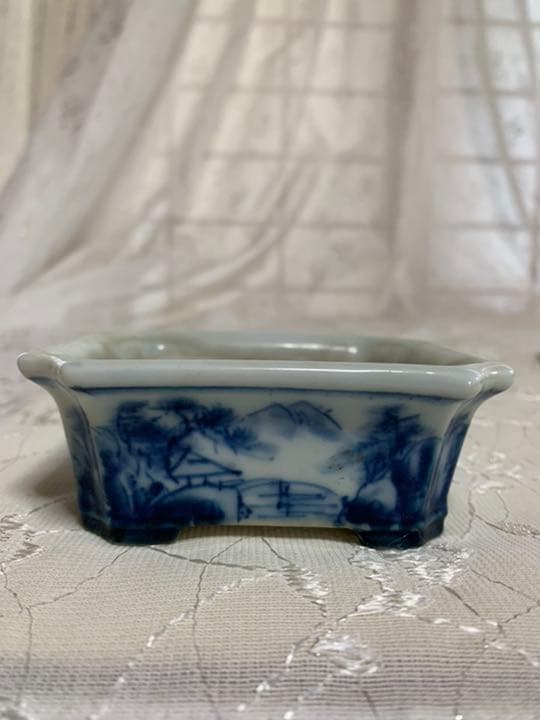 磯山4点セット　人気鉢