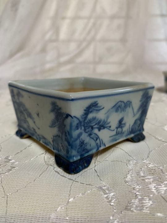 磯山4点セット　人気鉢