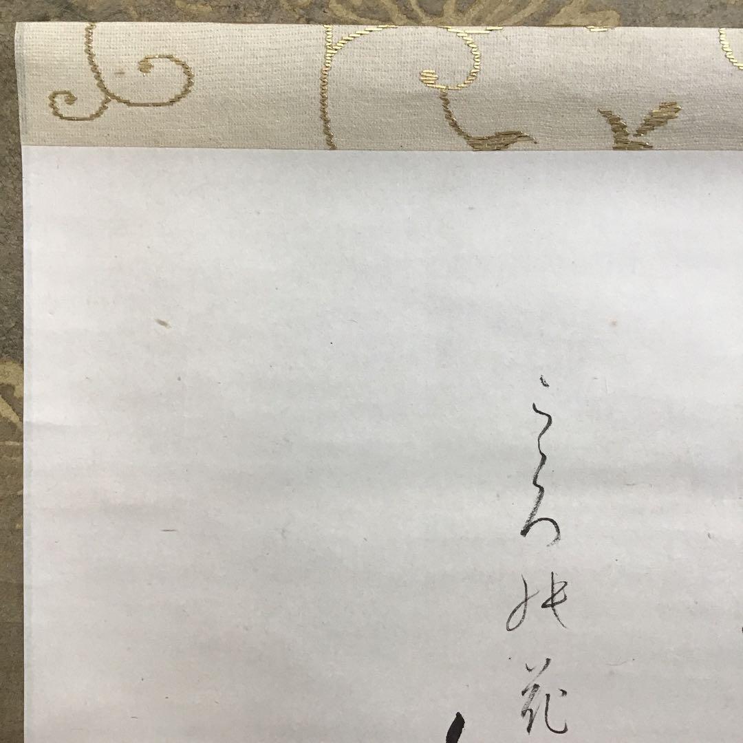 K茶道具　掛軸　「菊」　松尾流十代宗吾(不染斎)作　書付　共箱　S948KJ