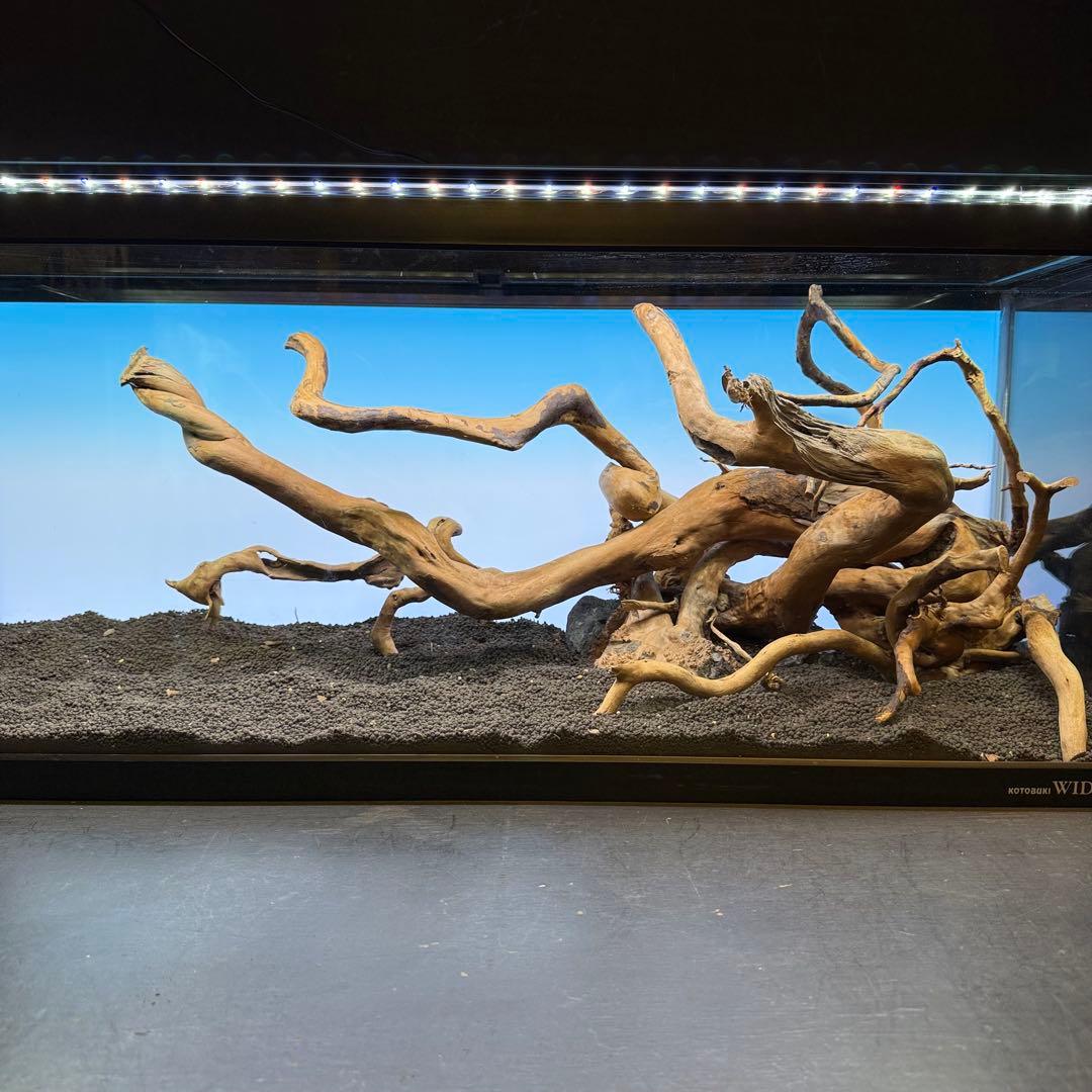 MDW-7146 ブランチウッドレイアウトセット　90cm水槽用流木　枝流木