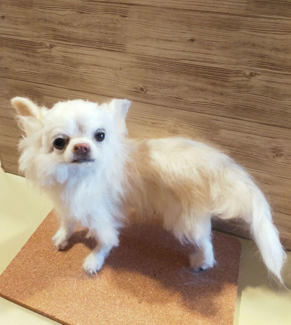 羊毛フェルト　ハンドメイド　犬　チワワ