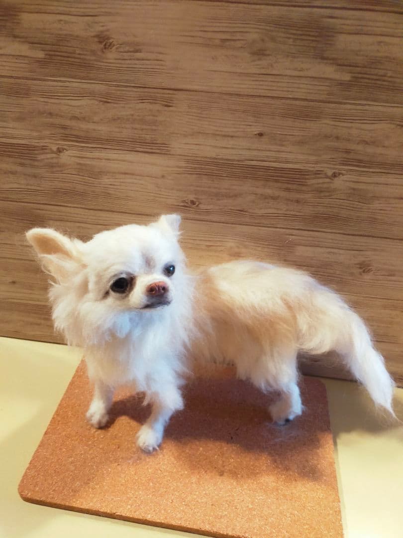 羊毛フェルト　ハンドメイド　犬　チワワ