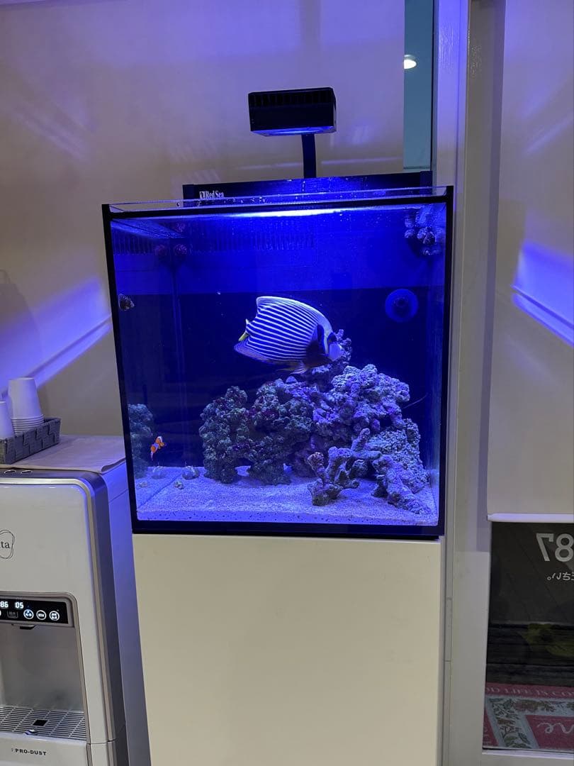 最終値下げ‼️送料込み❕今週まで‼️Redsea maxnano水槽 ReefLED