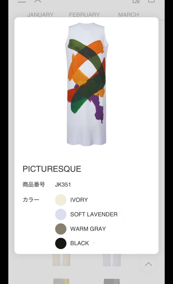 トップス Homme Plisse 24ss picturesque