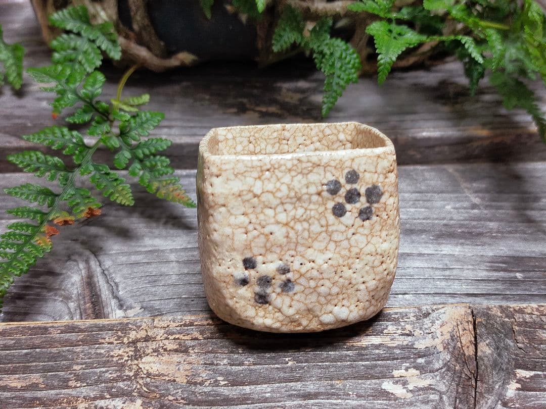 ♥絵志野　ぐい呑み　桐箱付き　⑱　志野　ぐい飲み　骨董品