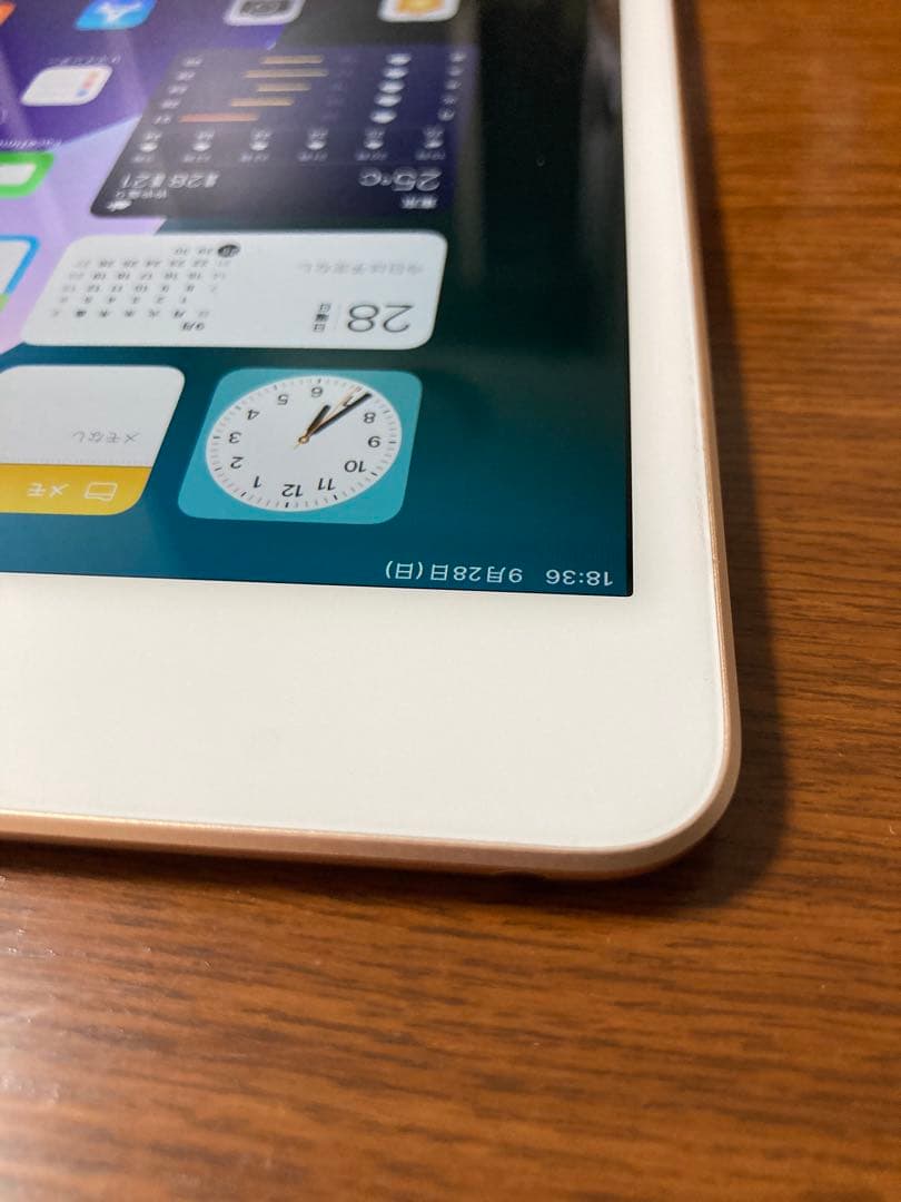 iPad mini第5世代　64GB Wi-Fiタイプ