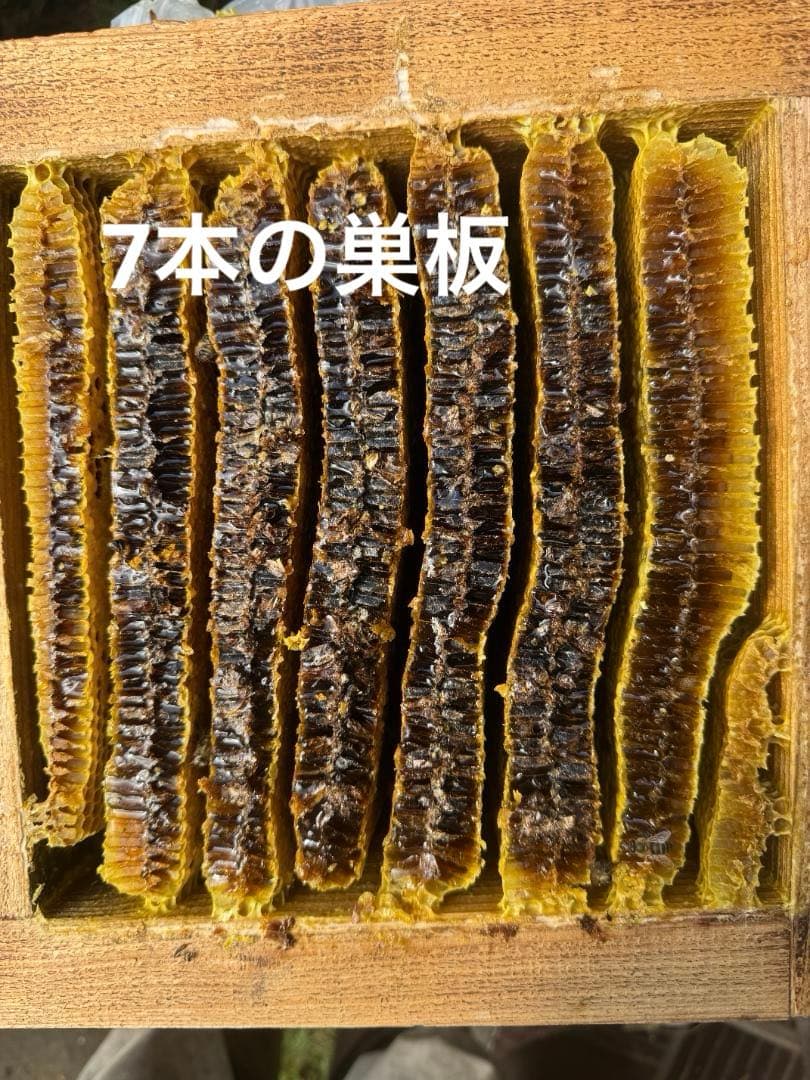 日本蜜蜂 重箱式巣箱4段 スライド底板 付巣門台座