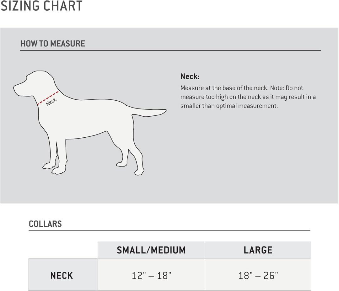 【NEW】Carhartt カーハート 犬用リーシュ＆首輪セット L 赤ワイン