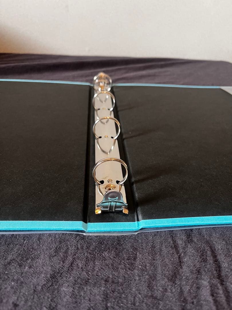 廃盤品　デルフォニックス　アルバムＬサイズ5冊レフィルセット