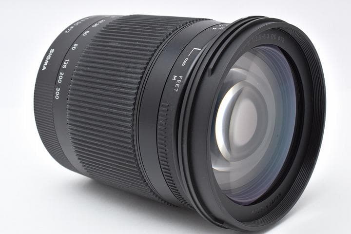 15407 Sigma 18-300mm Macro OS Nikon ニコン