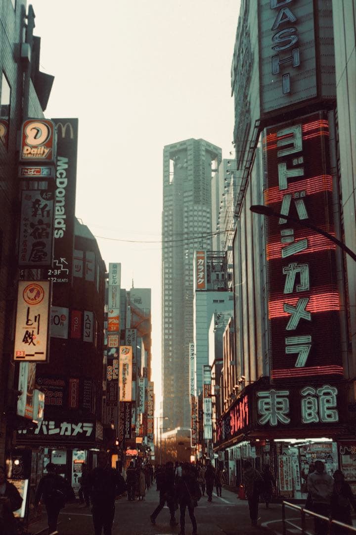 Leica IIIf【OH済】【二重象◎】【幕交換済◎】【各部注油済◎】【作例有