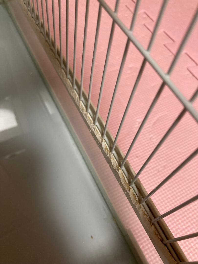 爬虫類ケージ　三晃商会　パンテオン　ホワイト　ＷＨ６０３５