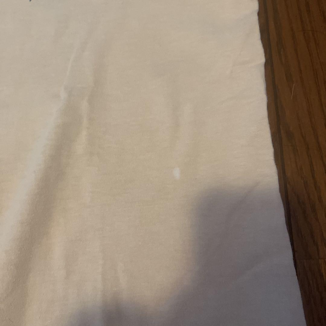 パタゴニア葛飾北斎 浮世絵スペシャルヴィンテージ染み込みプリント希少 Hanes