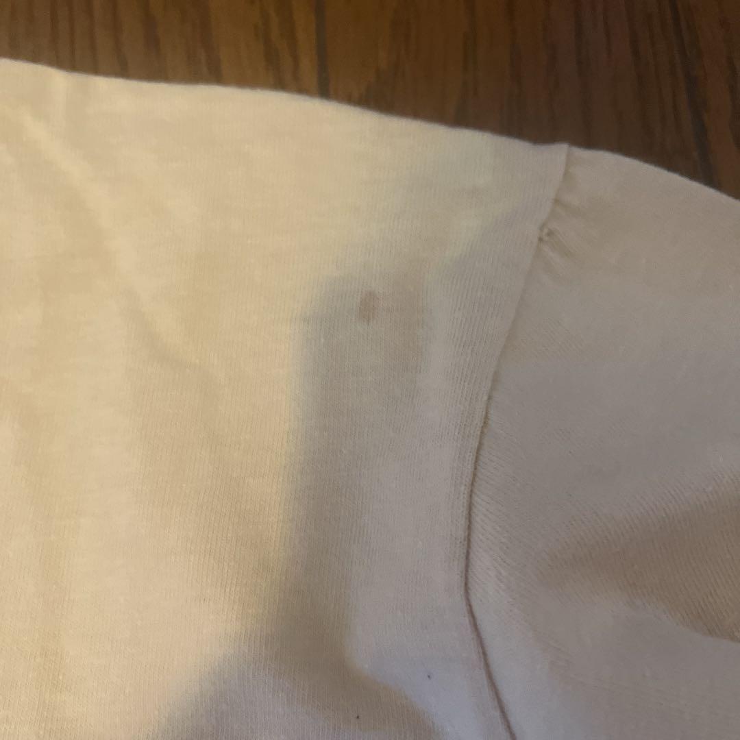 パタゴニア葛飾北斎 浮世絵スペシャルヴィンテージ染み込みプリント希少 Hanes