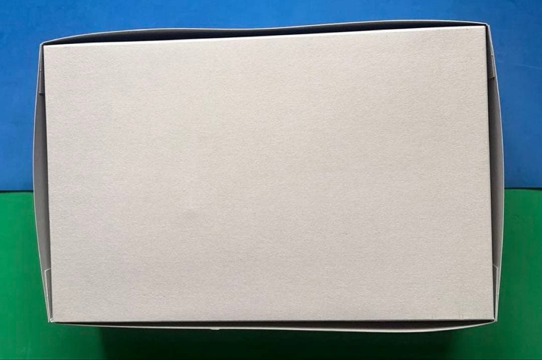 RG 1/144 デスティニーガンダム［チタニウムフィニッシュ］ ＋光の翼セット