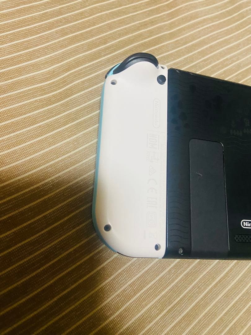 あつまれ どうぶつの森 Nintendo Switch 本体　セット