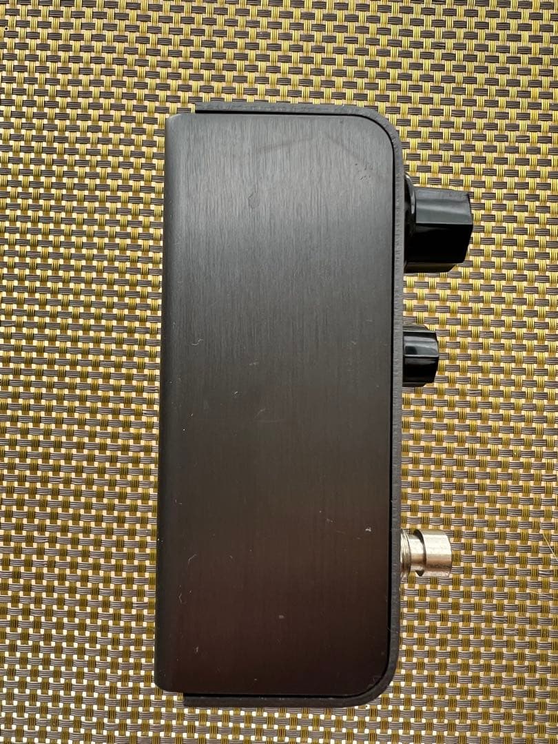 Strymon El Capistan 【専用箱付】テープエコー ディレイ