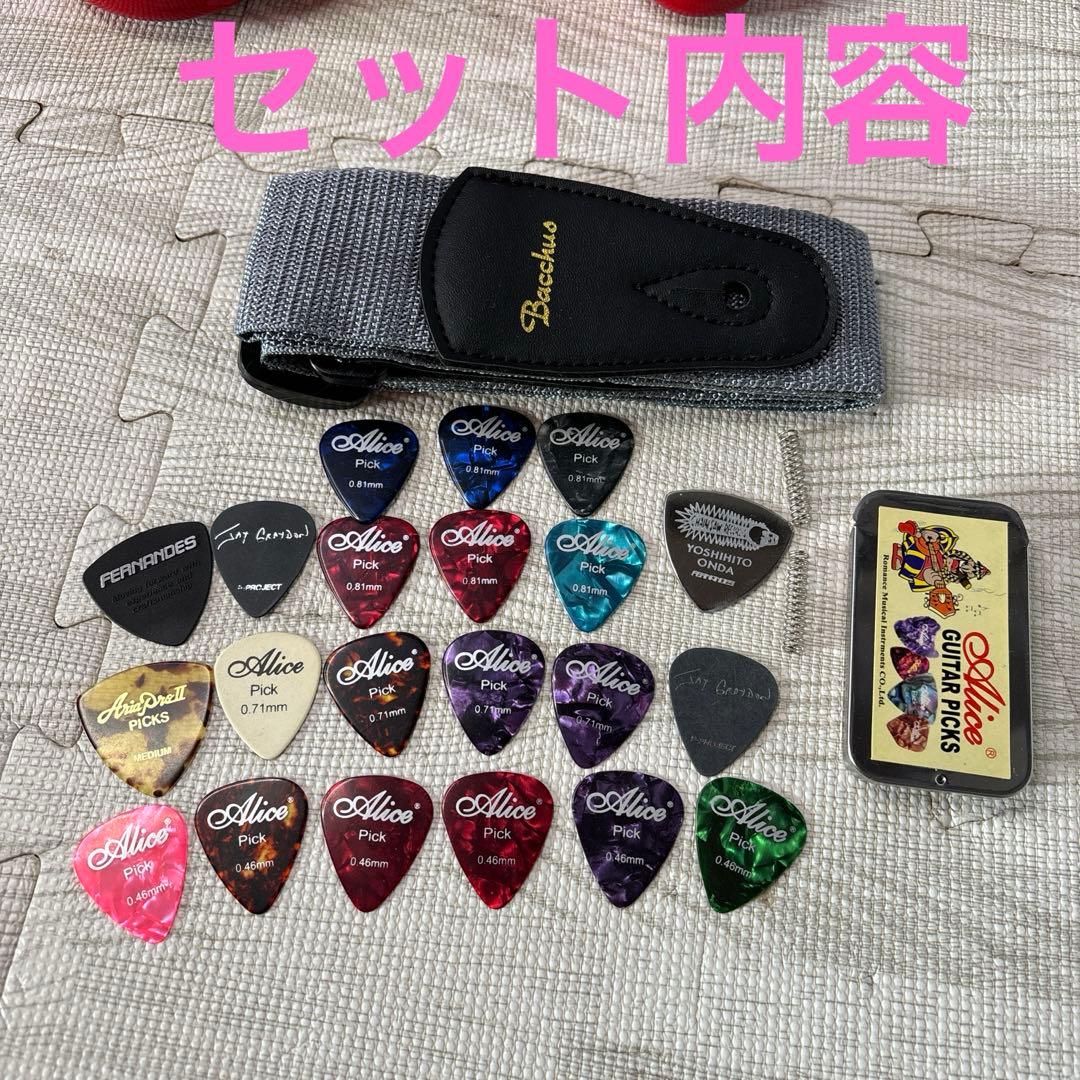 ぞうさん エレキギター FERNANDES ケースチャック壊れあり