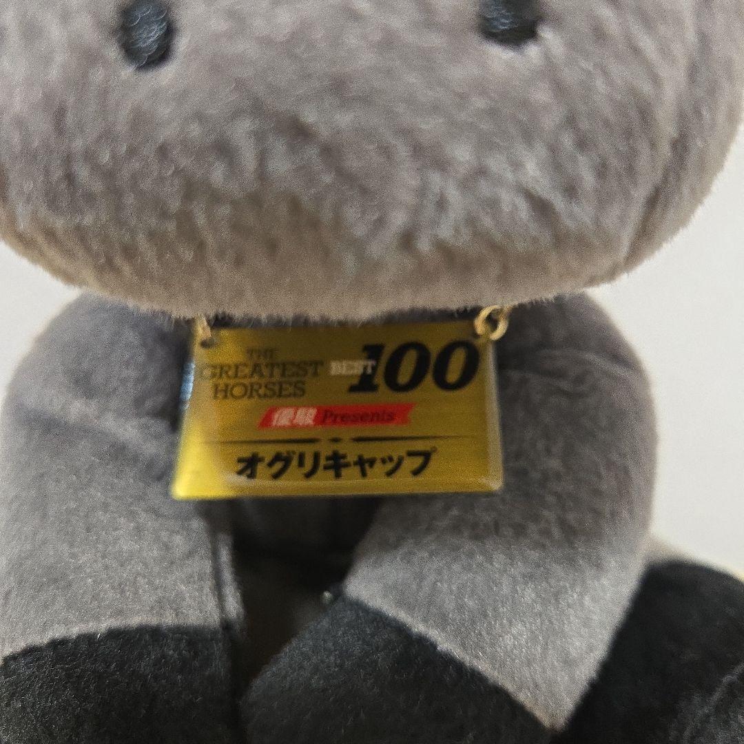 オグリキャップ　アイドルホース