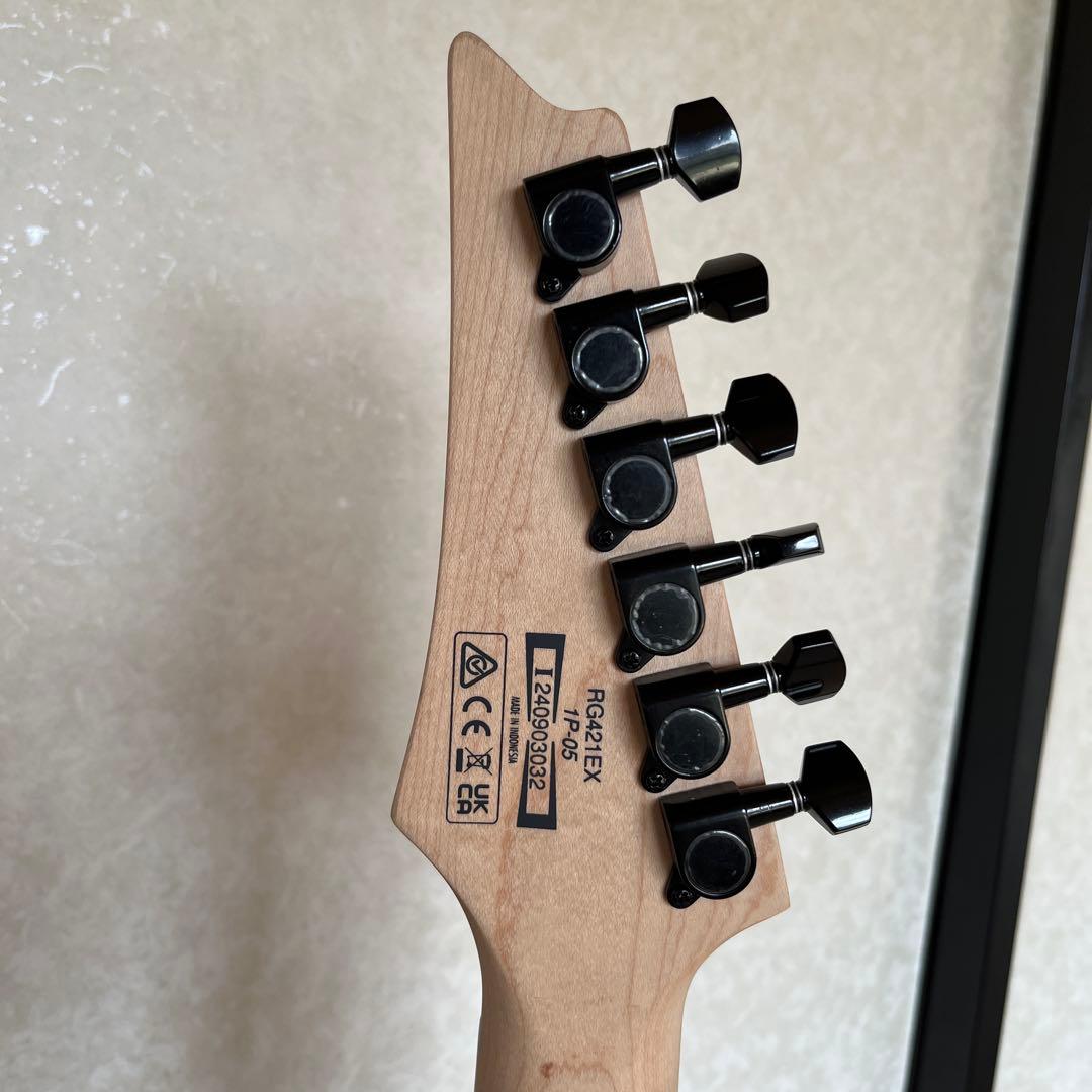 ギター Ibanez RG421EX