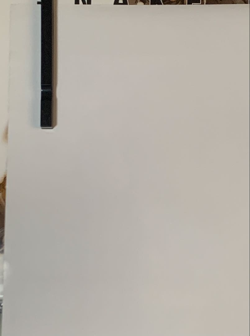 【B2・表面フチ痛みあり】 lain アニメ版 VHS/LD 販促 ポスター